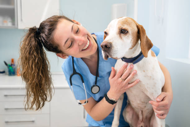 Find Bangalore’s Finest Pet Hospital for Outstanding Veterinary Care Best Pet Hospital in Bangalore